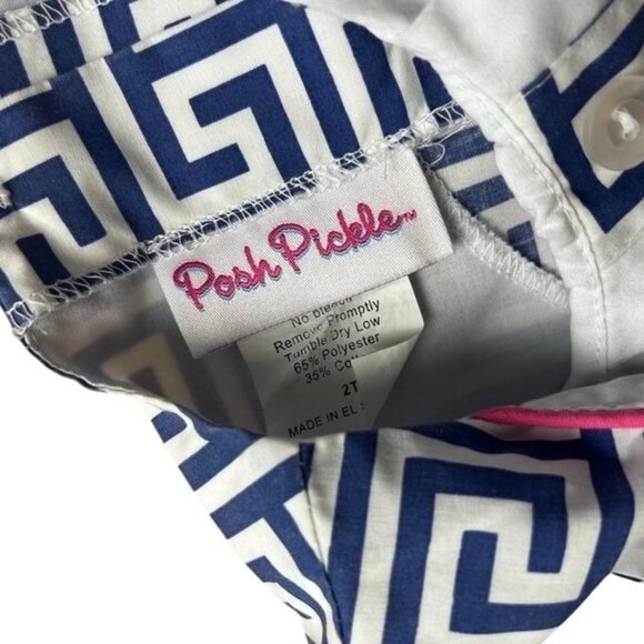 Posh Pickle Toddler Girls Blue and White Dress Size 2T - Picture 5 of 7